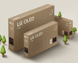 Sustainability Program