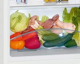 Liebherr Δίπορτο Ψυγείο CTe 2531