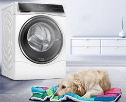 Bosch Πλυντήριο-Στεγνωτήριο WNC254A0GR