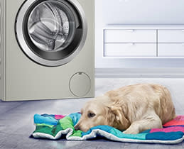 Bosch Πλυντήριο Ρούχων WUU28TX2GR