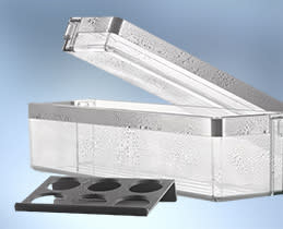 Miele Ψυγειοκαταψύκτης KFN 4377 CD