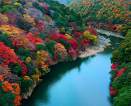 XR Triluminos Pro™