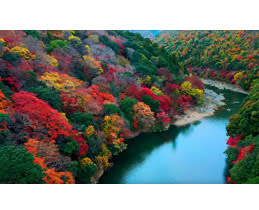 4578562-Box-2-Sony-Bravia-9