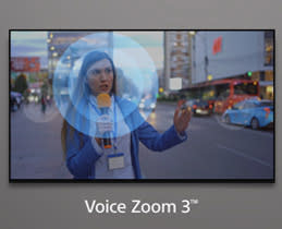 Voice Zoom 3™