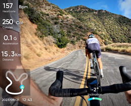 Apple Garmin Statistics