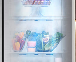 LG Ντουλάπα GSLE91EVAC