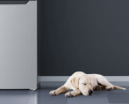 Tesla Ψυγειοκαταψύκτης RC3400FHXE