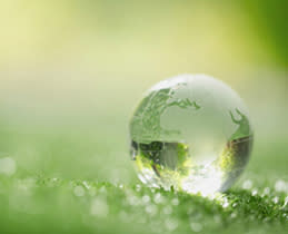 Brandt Πλυντήριο Πιάτων DFP3129DW