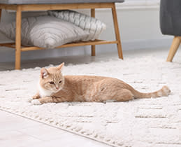 Xiaomi Σκούπα ρομπότ Mi Robot S20 Μαύρη