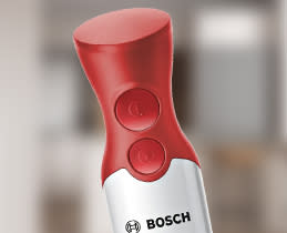 Bosch Ραβδομπλέντερ MSM64010
