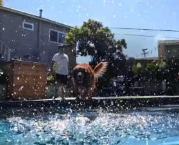 2x Αργή Κίνηση