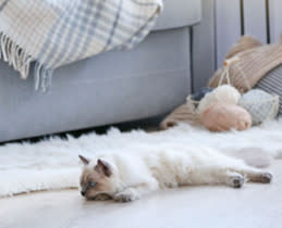 Rohnson Σκούπα Stick Επαν/μενη Mamba M6