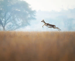 4629876-Box-1-Nikon-Z6-III