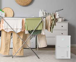 SINGER SDHM-20L WIFI PURE DRY ION