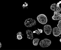 DICOM Συμβατότητα