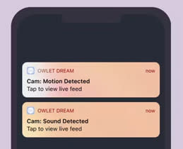 Owlet Baby Monitor Cam