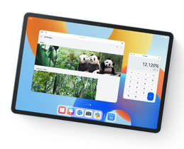 Floating Multi Window