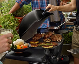 Weber Ψησταριά Υγραερίου Q 1200