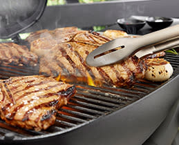 Weber Ψησταριά Υγραερίου Q 3200N