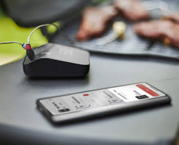 Weber Ψησταριά Υγραερίου Q 3200N