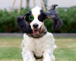 Subject Detection Autofocus