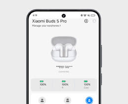 Xiaomi Earbuds App