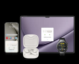 Dual-Device Connection