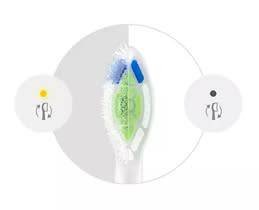 Philips Λευκές Ανταλ. Κεφαλές HX6062/87