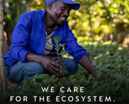 Krups Καφετιέρα Espresso XN9206F0