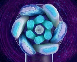 Εμπνευσμένη από τους οδοντιάτρους!