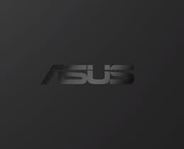 Exquisite ASUS Logo