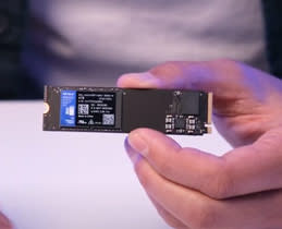 WD Blue SN5000 NVMe™ SSD