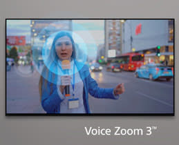 Voice Zoom 3™