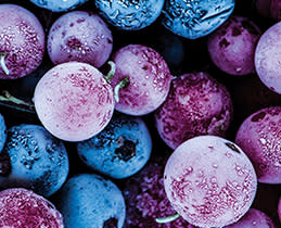 Tesla Ντουλάπα RF5200FMAE