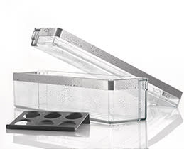 Καθάρισμα παιχνιδάκι!