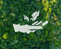 Εξοικονόμηση ενέργειας