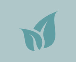 Χαμηλό αποτύπωμα άνθρακα