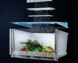  Όλη η φρεσκάδα!