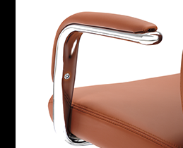 Ανθεκτικός σκελετός