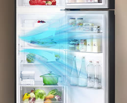 LG Δίπορτο Ψυγείο GTBV20SWZJD