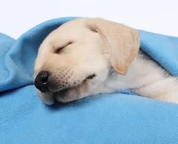 Αξιοθαύμαστα ήσυχο