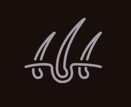 Καθαριότητα στο φουλ!