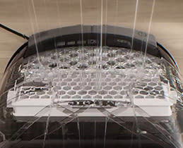 Miele Σκούπα Με Σακούλα 12562210 GuardM1