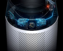 Έχει διαίσθηση!