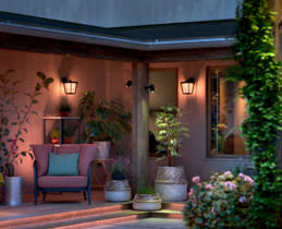 Philips Hue Bridge Pro 