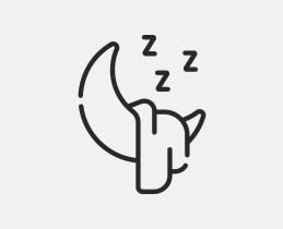 Primo PRDH-45022i 20L WIFI Anthracite