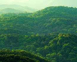 Dell 27 Plus QHD USB-C Monitor - S2725DC