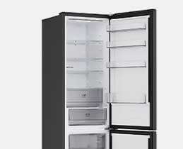 LG Ψυγειοκαταψύκτης GBBSJ20EEP