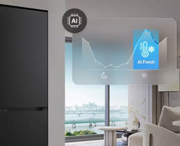 LG Ψυγειοκαταψύκτης GBBSJ21EPY