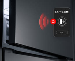 LG Ψυγειοκαταψύκτης GBBSJ21EPY